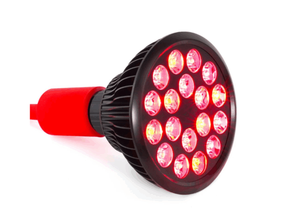 Mito Light Bulb 5.0